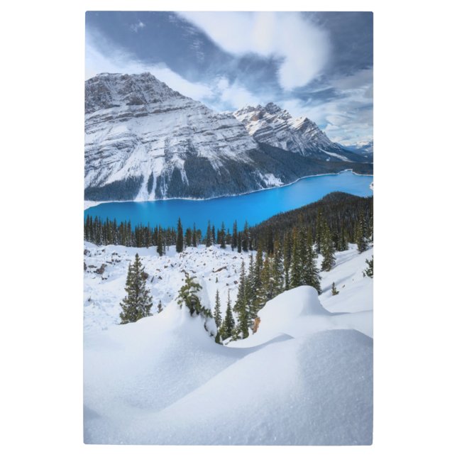 Impresión En Metal Hielo y nieve | Lago Peyto, Rockies Canadienses (Anverso)