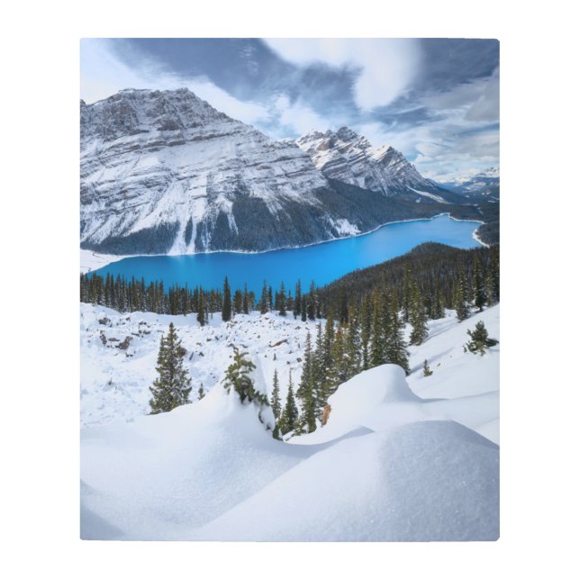 Impresión En Metal Hielo y nieve | Lago Peyto, Rockies Canadienses (Anverso)