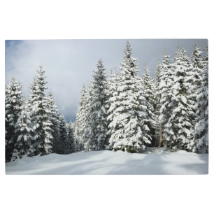 Impresión En Metal Hielo y nieve   Pine Woodland, Austria