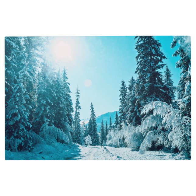 Impresión En Metal Hielo y nieve | Reserva Natural de Altai, Rusia (Anverso)