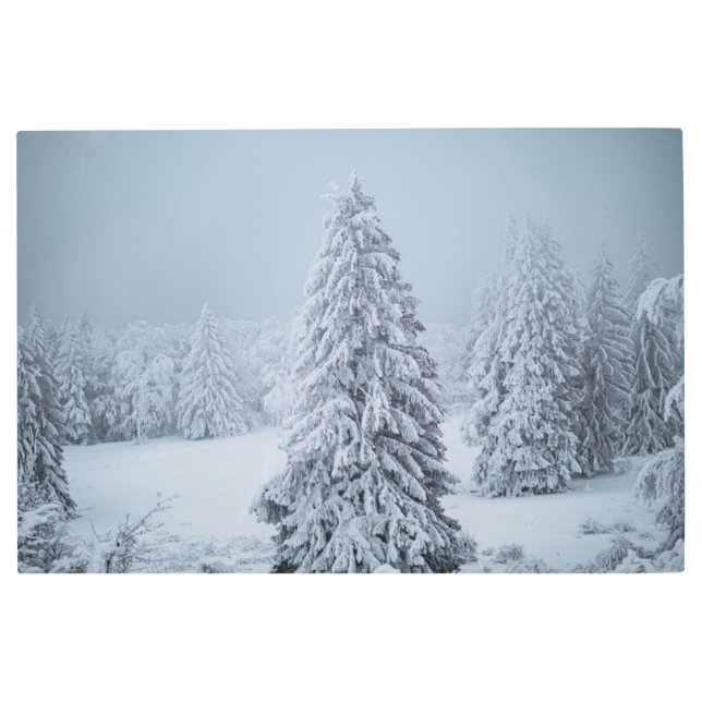 Impresión En Metal Hielo y nieve | Woodland, Alpes suizos (Anverso)