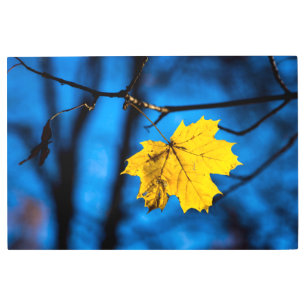 Impresión En Metal Hoja De Maple Amarilla En Azul
