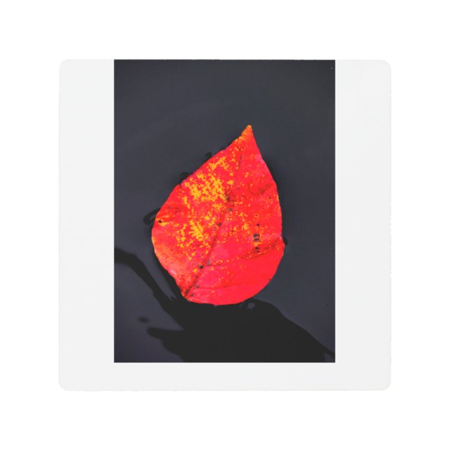 Impresión En Metal Hoja roja (Anverso)