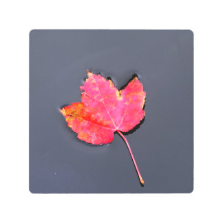 Impresión En Metal Hoja roja al costado