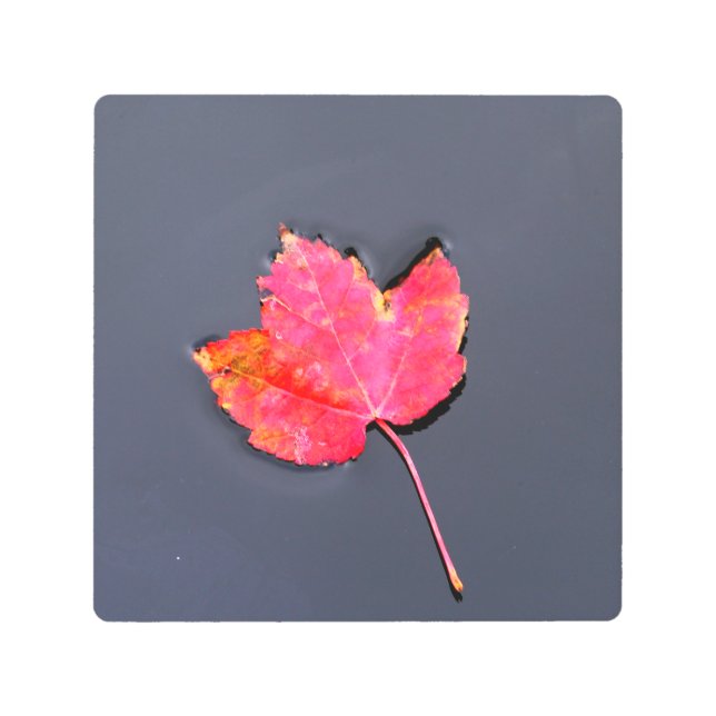 Impresión En Metal Hoja roja al costado (Anverso)