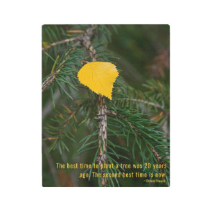 Impresión En Metal Hojas amarillas en rama verde foto