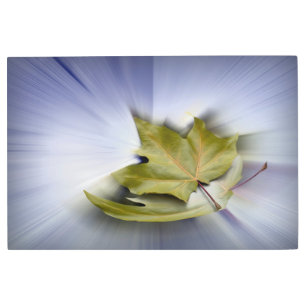 Impresión En Metal Hojas de arce voladoras
