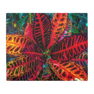 Impresión En Metal Hojas silvestres