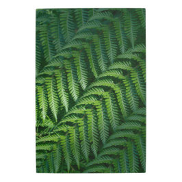 Impresión En Metal Hojas verdes de helecho