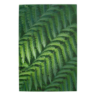 Impresión En Metal Hojas verdes de helecho