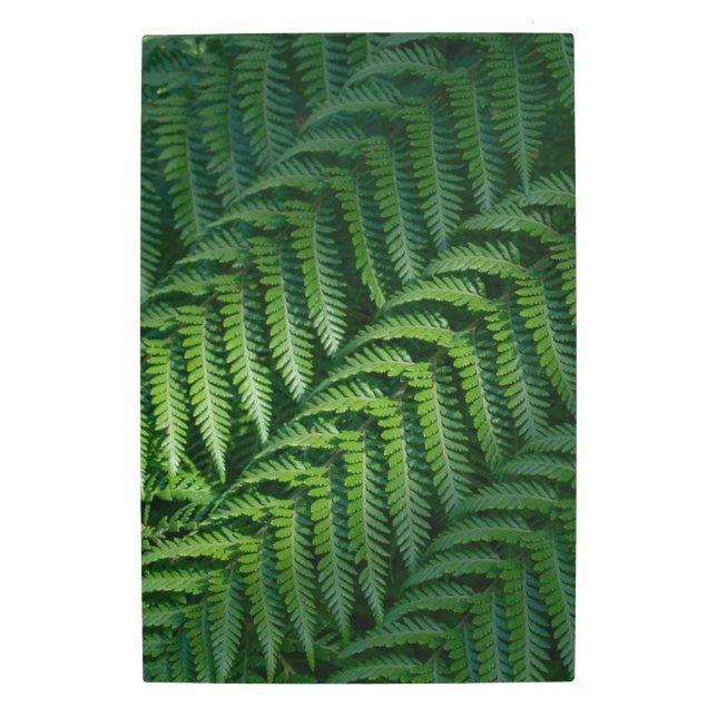 Impresión En Metal Hojas verdes de helecho (Anverso)