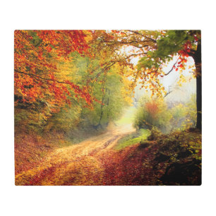 Impresión En Metal Hojas y árboles otoñales que cubren carreteras suc
