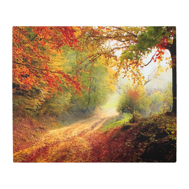 Impresión En Metal Hojas y árboles otoñales que cubren carreteras suc (Anverso)