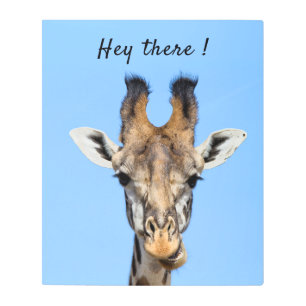Impresión En Metal Hola, divertida foto de Giraffe con texto