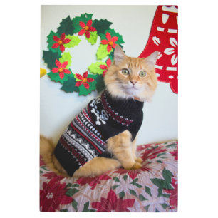 Impresión En Metal Hombre principal I