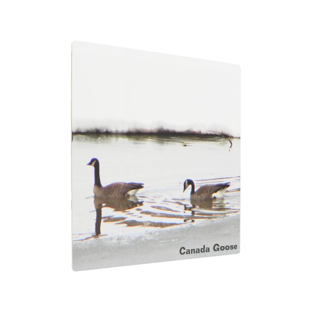 Impresión En Metal Honkers - Canadá Geese (Angulado)