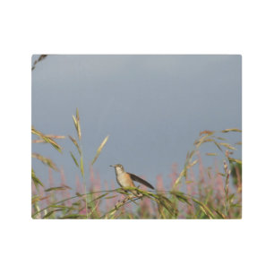 Impresión En Metal Hummingbird en Grasses Blue Sky Custom name