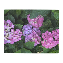 Impresión En Metal Hydrangea rosa de 20"x26"