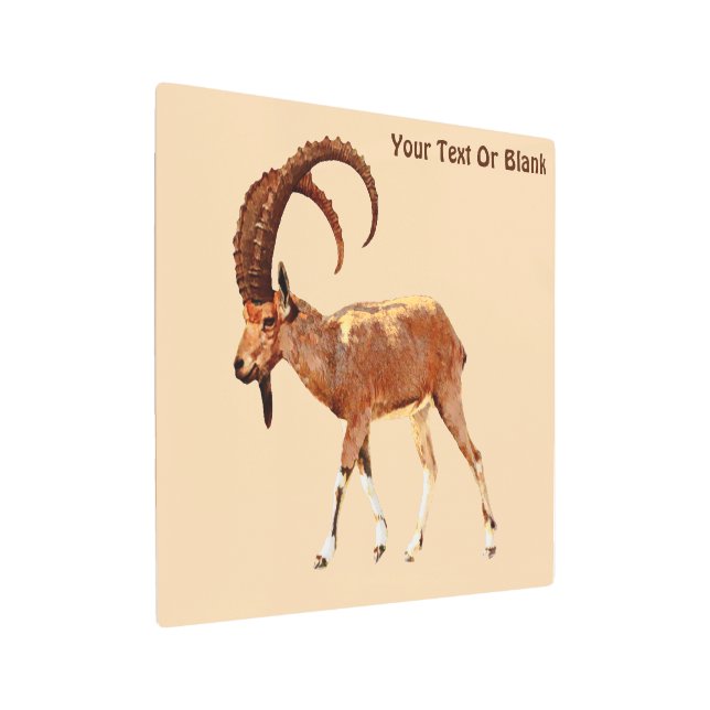 Impresión En Metal Ibex nubio - Ein Gedi (Angulado)