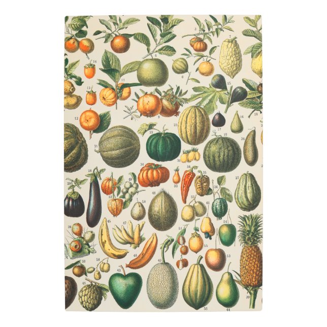Impresión En Metal Ilustracion científico botánico de frutas (Anverso)