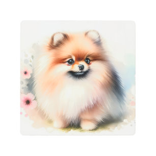 Impresión En Metal Ilustracion cutáneo de pomerania