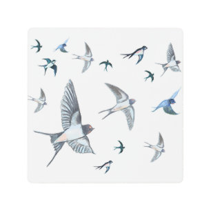 Impresión En Metal Ilustracion De Las Aves Tragadas Voladoras