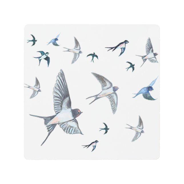 Impresión En Metal Ilustracion De Las Aves Tragadas Voladoras (Anverso)