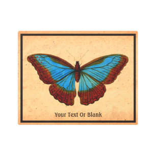 Impresión En Metal Ilustracion de mariposa de época