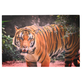 Impresión En Metal Imagen de belleza majestuosa del personalizado Tig