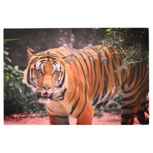 Impresión En Metal Imagen de belleza majestuosa del personalizado Tig