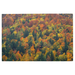 Impresión En Metal Impresionante bosque otoñal
