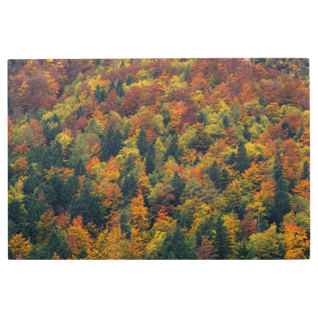 Impresión En Metal Impresionante bosque otoñal (Anverso)