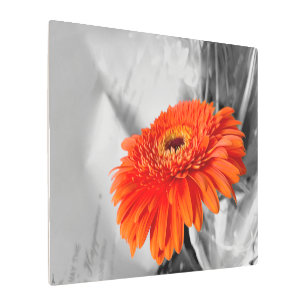 Impresión En Metal Incendio en pétalos