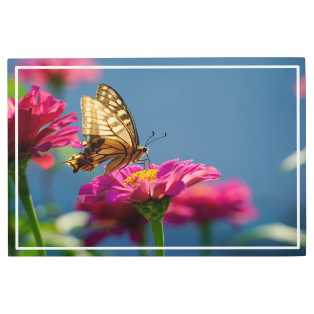 Impresión En Metal Insecto de mariposa en la flor (Anverso)