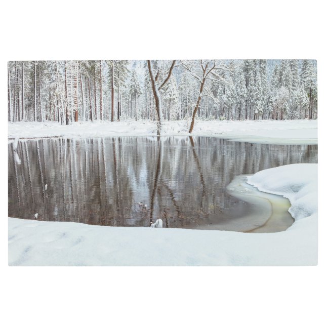 Impresión En Metal Invierno a orillas del lago (Anverso)