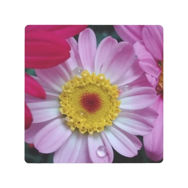 Impresión En Metal Invitación (Anverso)