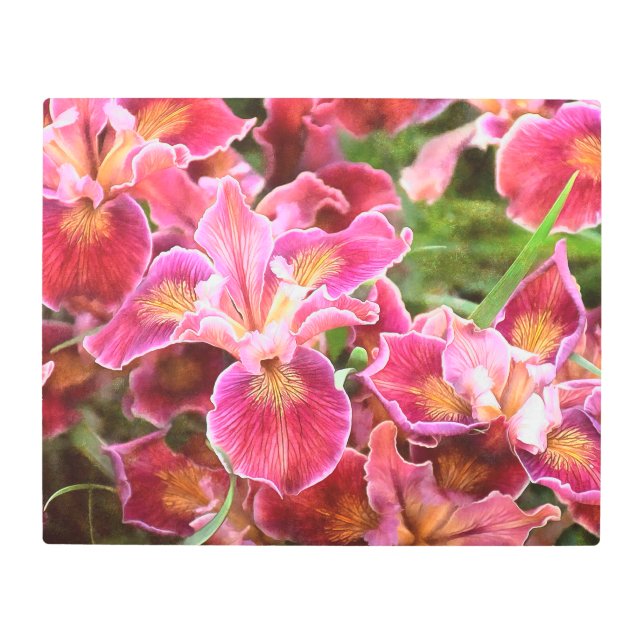 Impresión En Metal Iris rosa anaranjado (Anverso)