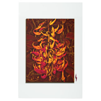 Impresión En Metal Jade Vine