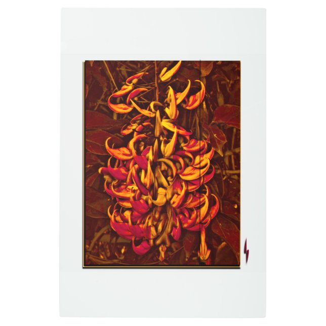 Impresión En Metal Jade Vine (Anverso)