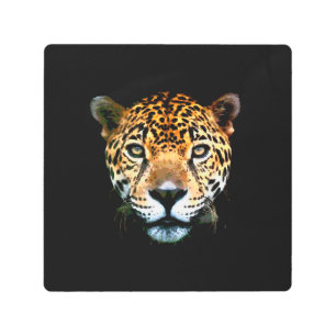 Impresión En Metal Jaguar