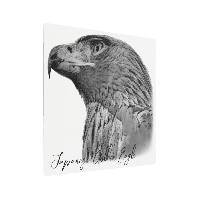 Impresión En Metal Japanese Golden Eagle (Angulado)