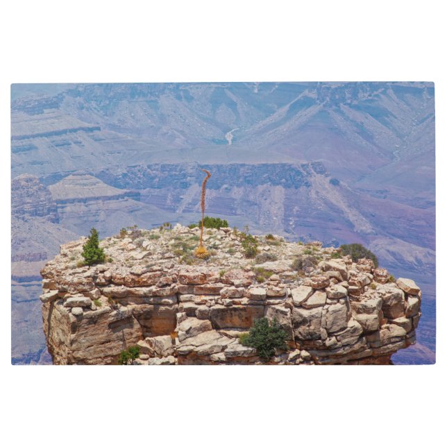 Impresión En Metal Jardín alto (Anverso)