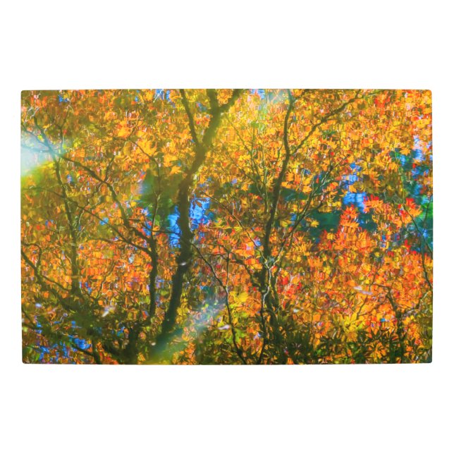 Impresión En Metal Jardín Botánico VanDusen Vancouver, Canadá (Anverso)