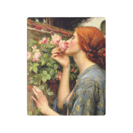 Impresión En Metal John William Waterhouse