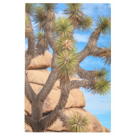 Impresión En Metal Joshua Tree