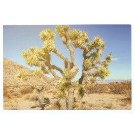 Impresión En Metal Joshua Tree