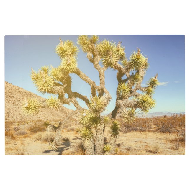 Impresión En Metal Joshua Tree (Anverso)