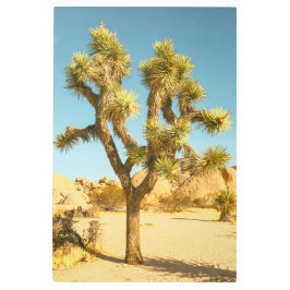 Impresión En Metal Joshua Tree