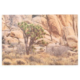 Impresión En Metal Joshua Tree