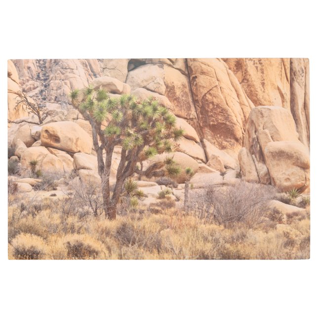 Impresión En Metal Joshua Tree (Anverso)